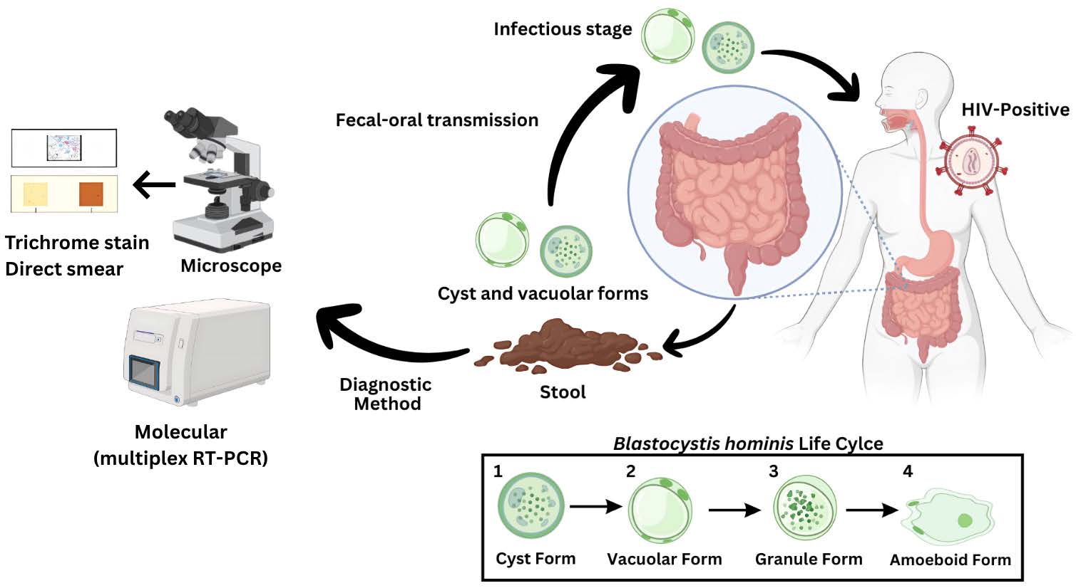 Graphical Abstract